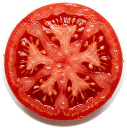 Fresh Ripe Tomato Slice